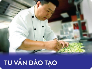 Đào Tạo